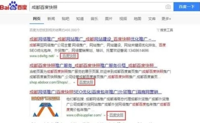网站中的历史快照对排名有什么影响？